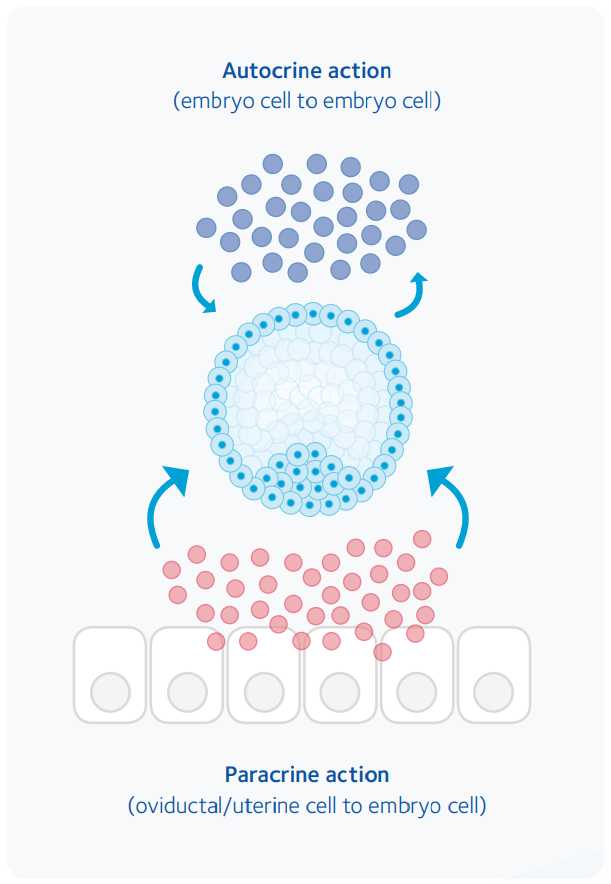 ARTScientific=GMCSF