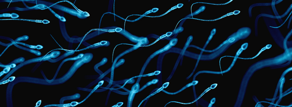 sperm-WHO