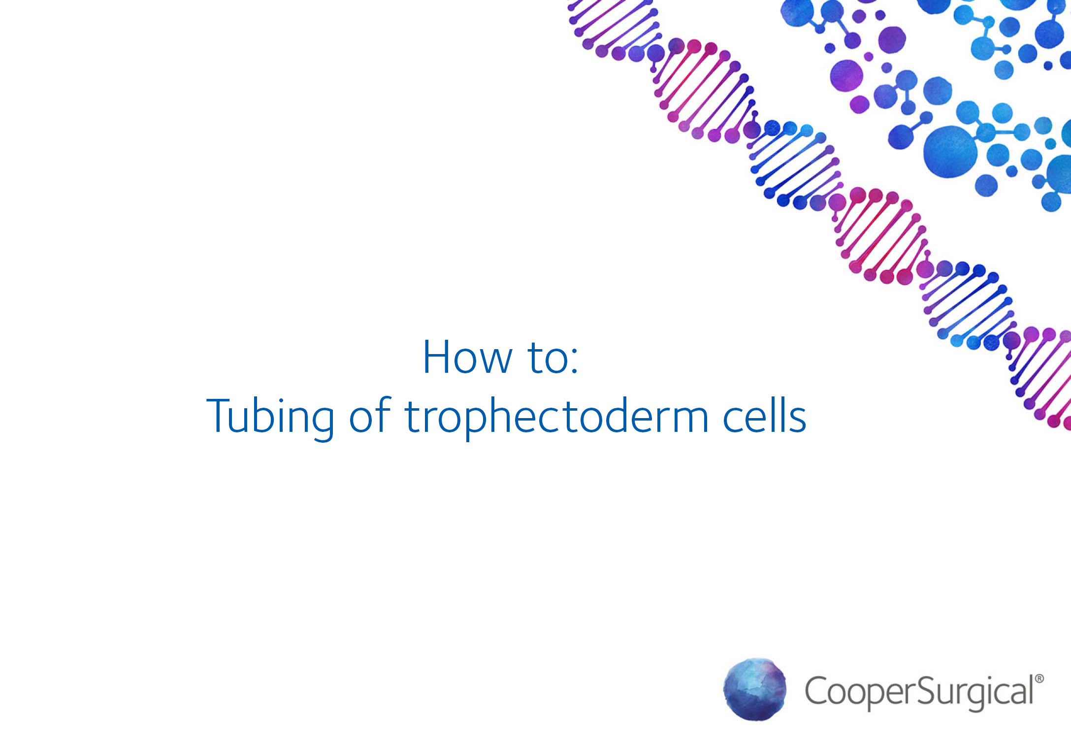 How To: Tubing of trophectoderm cells
