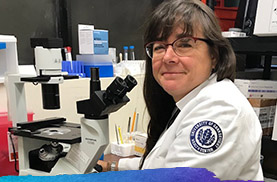 A Day in the Life of an Embryologist: Interview with Evelyn E. Neuber, Ph.D.